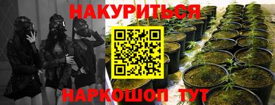 spice Каменск-Шахтинский