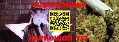 ПСИЛОЦИБИНОВЫЕ ГРИБЫ Камень-на-Оби