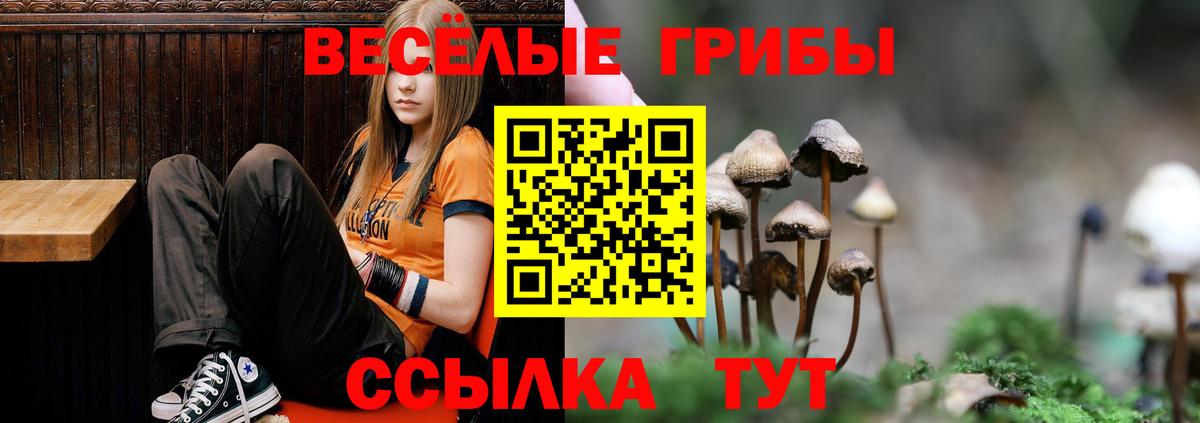 Воскресенск  Псилоцибиновые грибы Psilocybe  Вход с VPN 